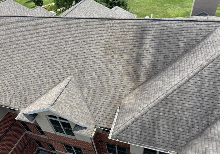 Roof Washing Services